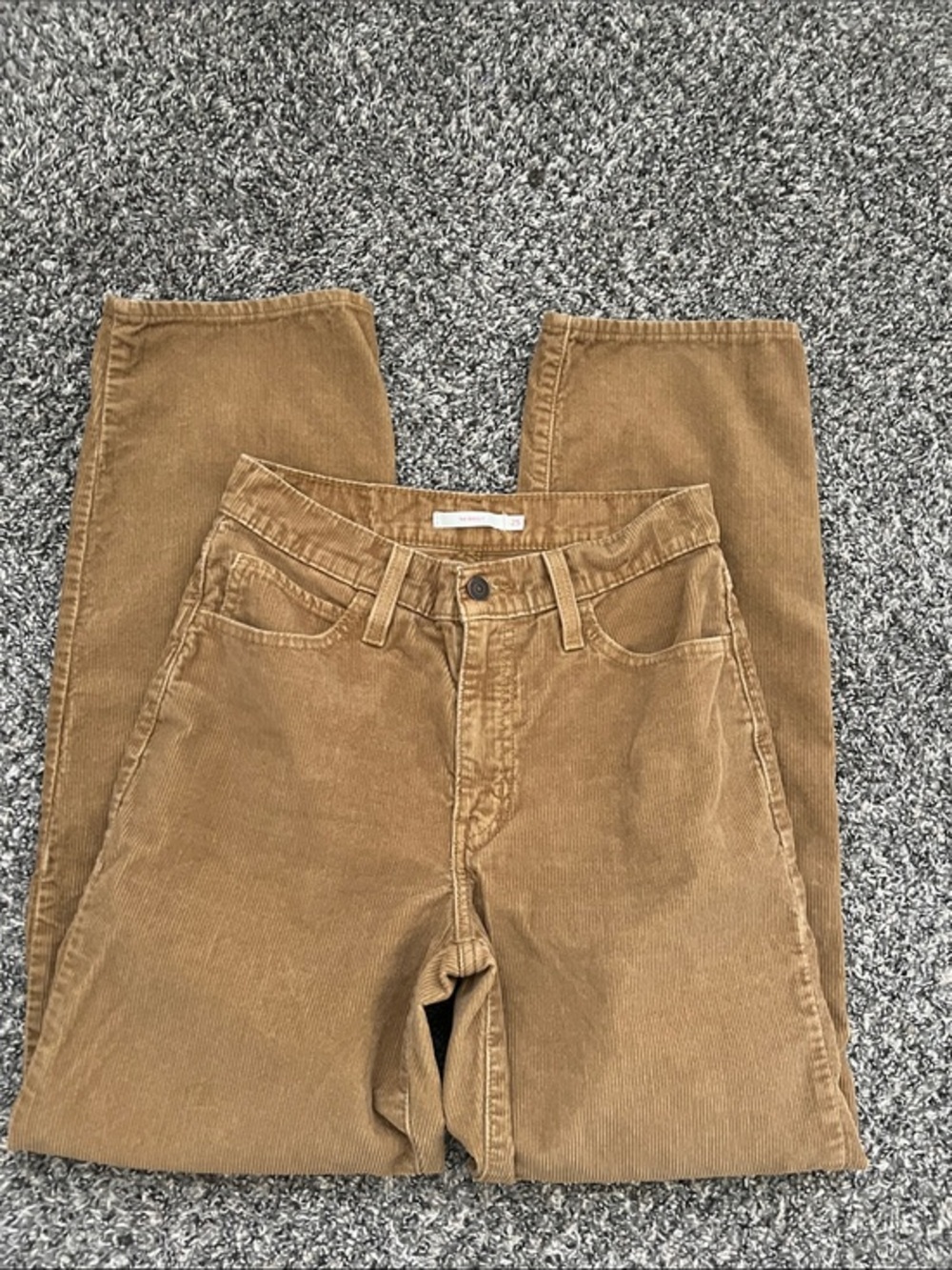 Levis 93 Baggy Corduroy Pants in Tan 25